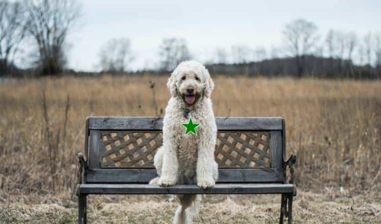 Inpaint Anything 修复图像、视频和3D 场景中的任何内容！开源!