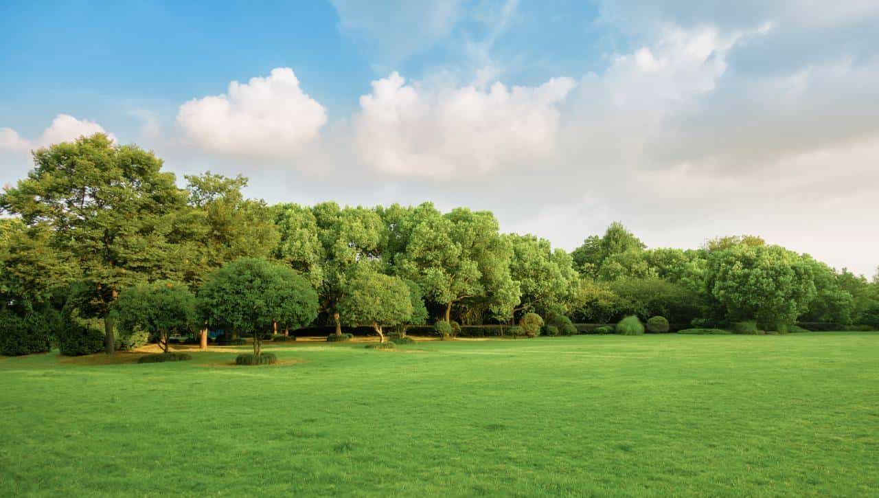 当我们在说网关时，到底在说什么