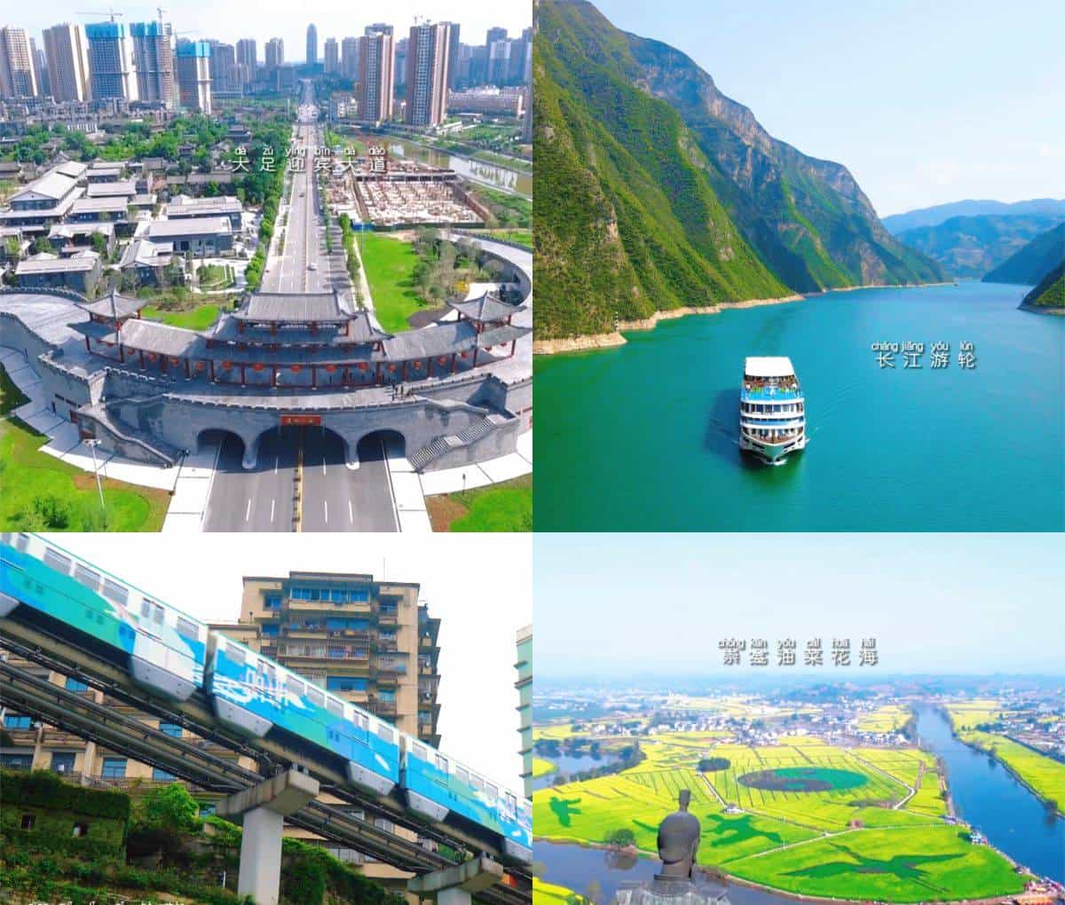 创业中华·华侨论坛 让更多海外人才“渝”见新梦想！