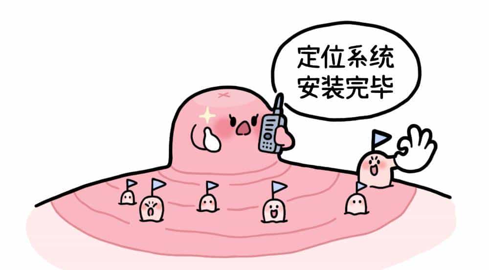 乳晕上的小颗粒,到底是啥啊?