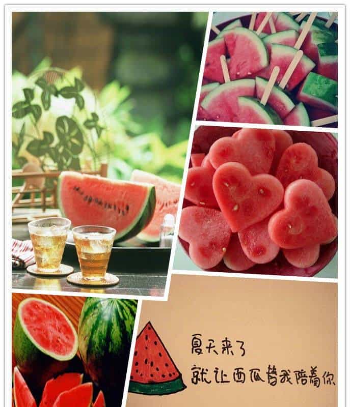 今日夏至，快跟随小武一起寻找“解暑神器”~~