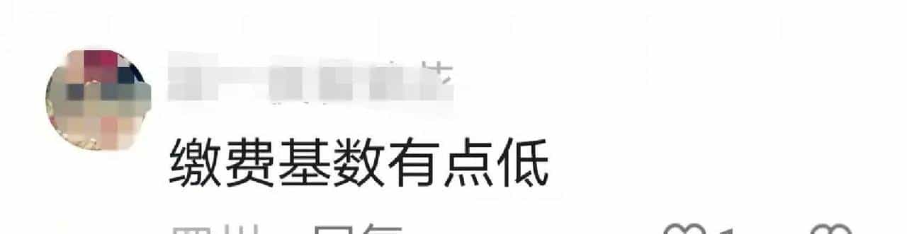 40年工龄仅领3386！河南老林晒养老金账单，差距真扎心