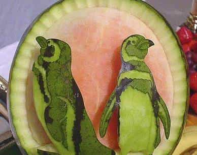 今日夏至，快跟随小武一起寻找“解暑神器”~~