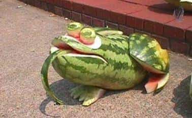 今日夏至，快跟随小武一起寻找“解暑神器”~~