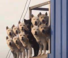 盘点8个简单易上手的前端低代码框架项目