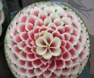 今日夏至，快跟随小武一起寻找“解暑神器”~~