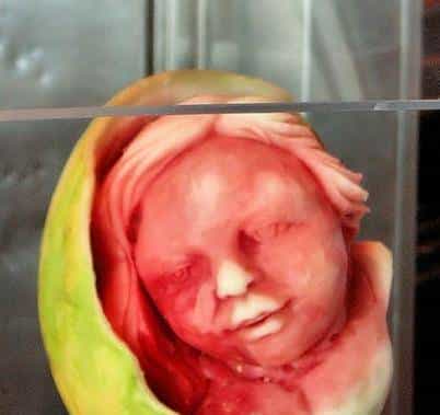 今日夏至，快跟随小武一起寻找“解暑神器”~~