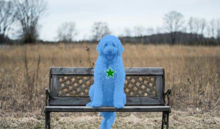 Inpaint Anything 修复图像、视频和3D 场景中的任何内容！开源!