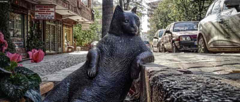 科幻爱情篇 - 用AI打造星际浪漫传奇