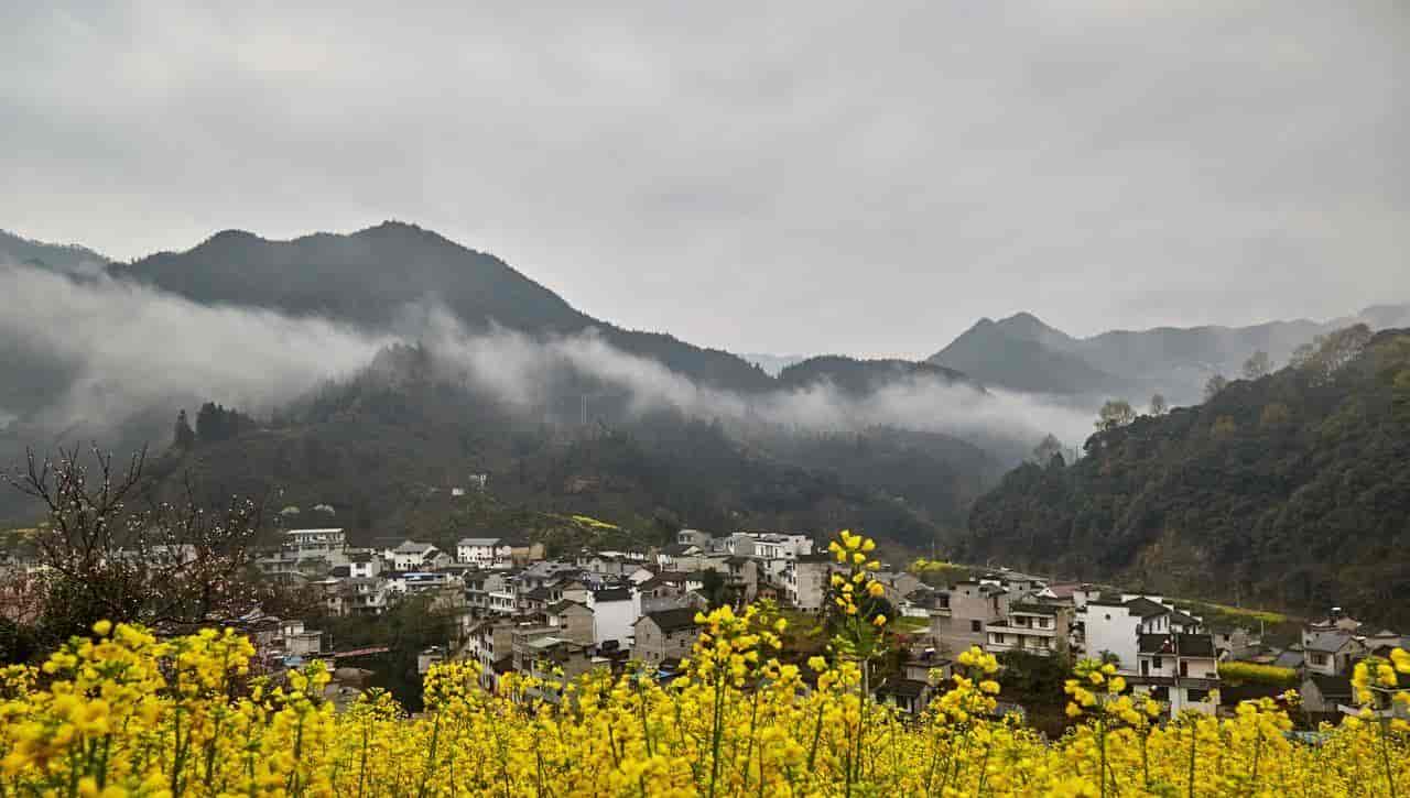 2026春季最火旅行方式：Color Walk色彩漫步攻略（附6条宝藏路线）