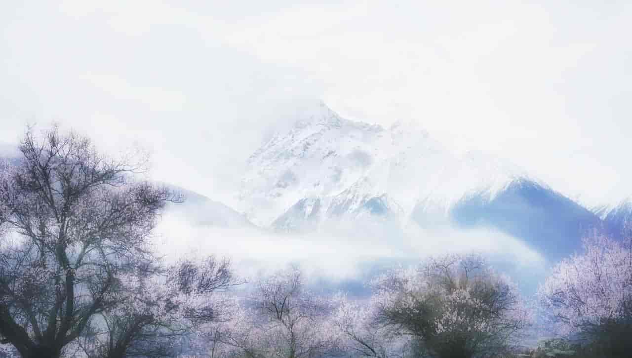 2026春季最火旅行方式：Color Walk色彩漫步攻略（附6条宝藏路线）