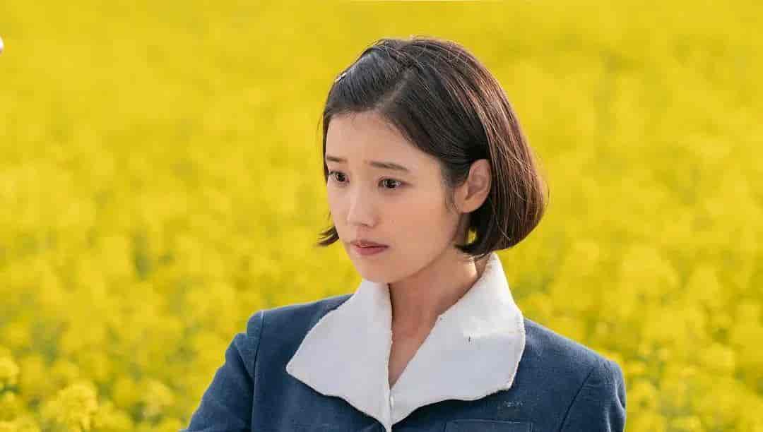 火速收藏！IU、朴宝剑、李帝勋主演韩剧来袭，谁能称霸荧幕？