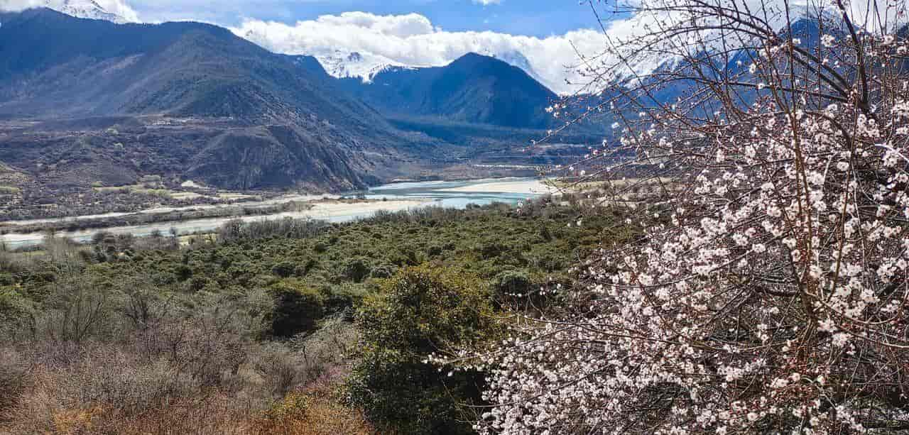 2026春季最火旅行方式：Color Walk色彩漫步攻略（附6条宝藏路线）