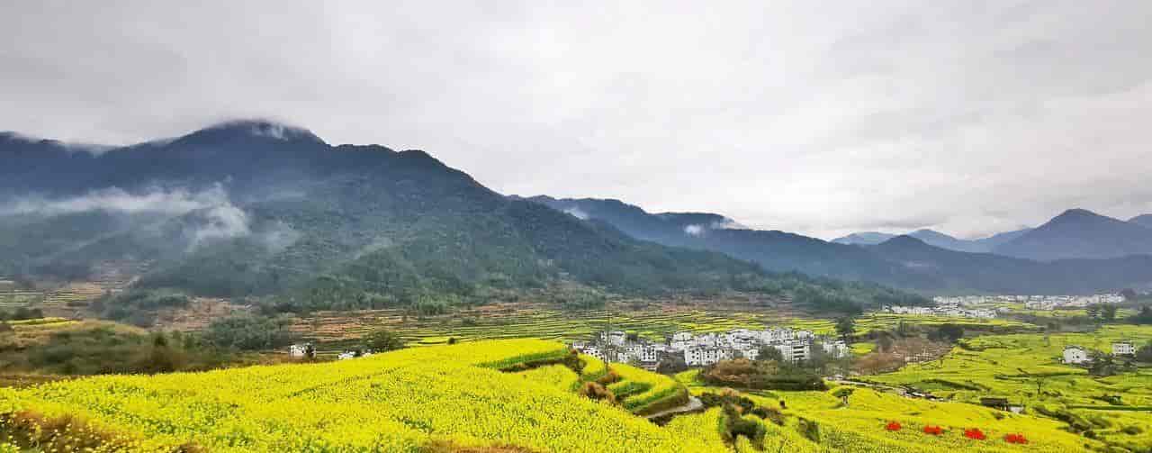 2026春季最火旅行方式：Color Walk色彩漫步攻略（附6条宝藏路线）