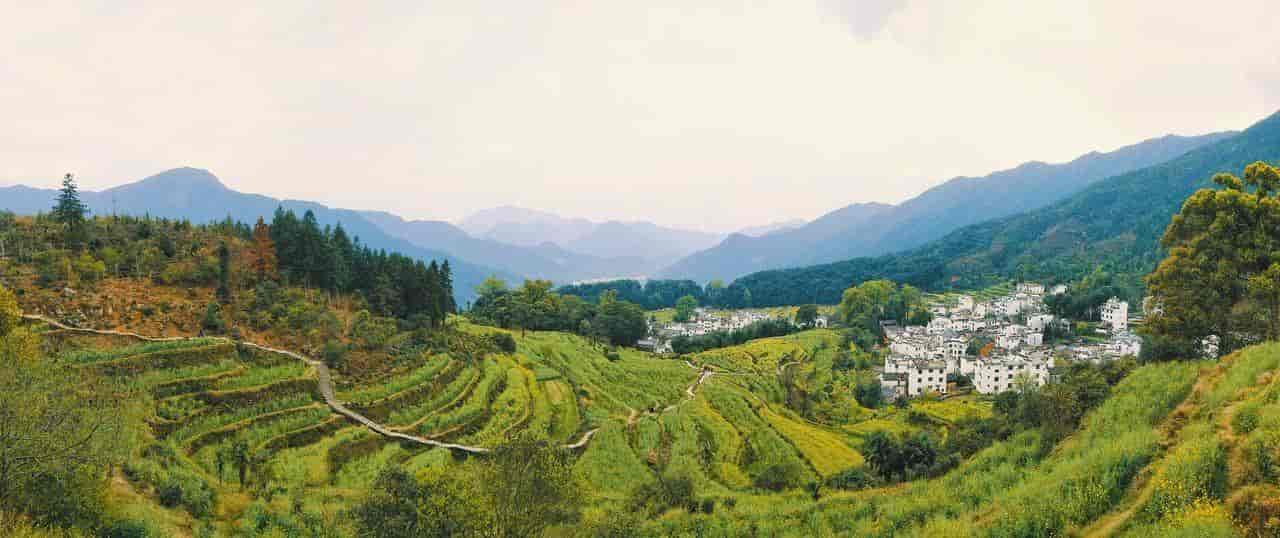 2026春季最火旅行方式：Color Walk色彩漫步攻略（附6条宝藏路线）