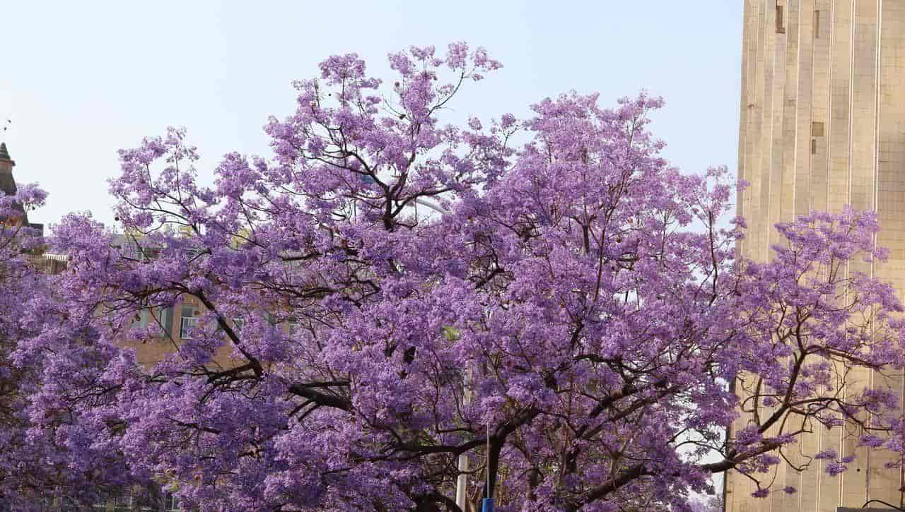 2026春季最火旅行方式：Color Walk色彩漫步攻略（附6条宝藏路线）