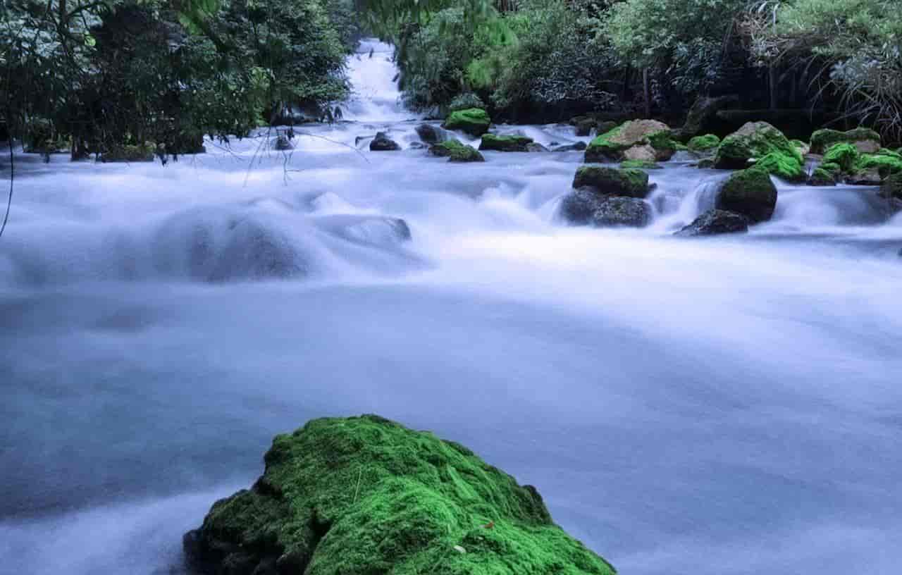 2026春季最火旅行方式：Color Walk色彩漫步攻略（附6条宝藏路线）