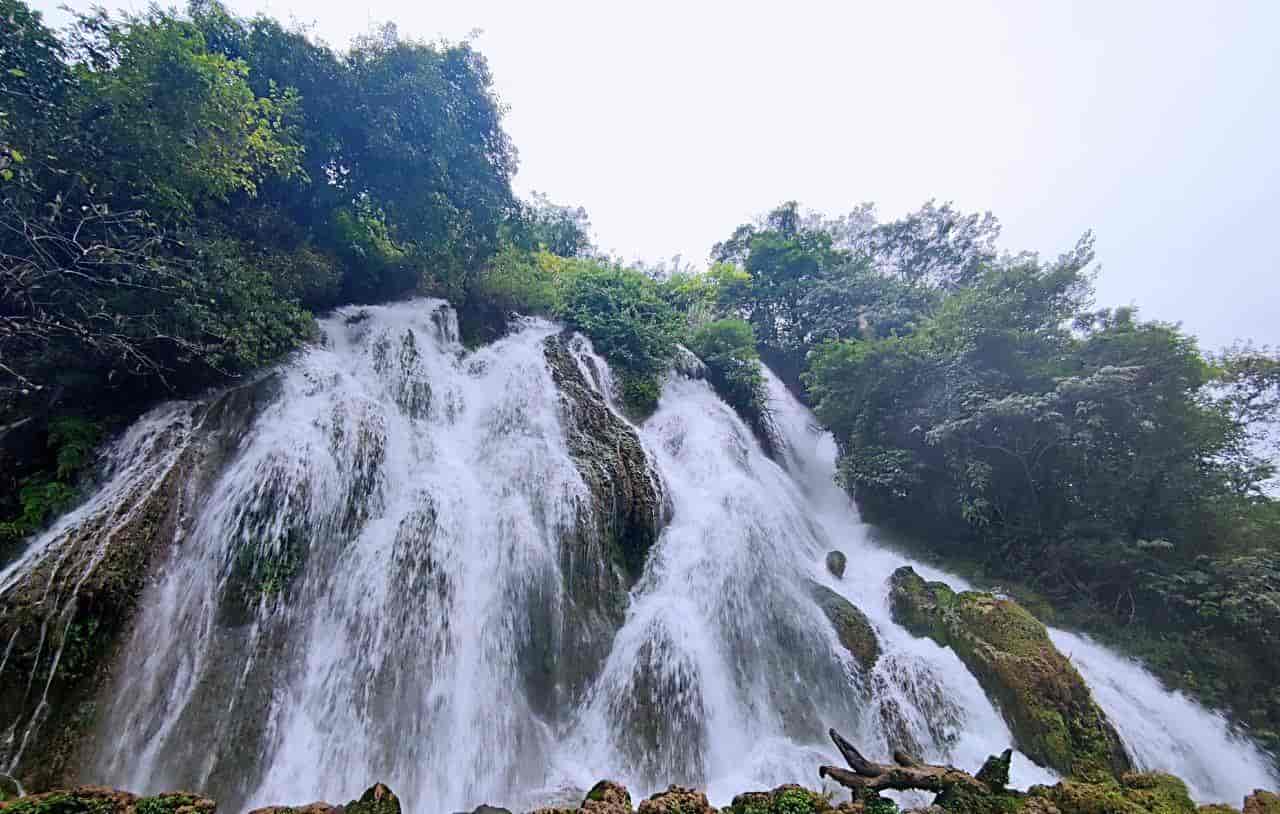 2026春季最火旅行方式：Color Walk色彩漫步攻略（附6条宝藏路线）
