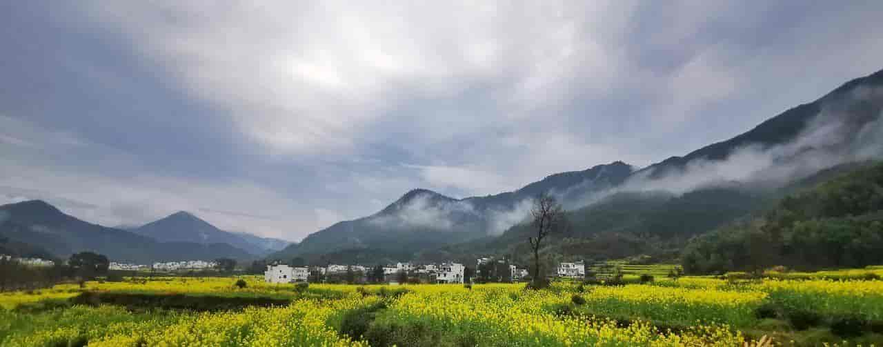 2026春季最火旅行方式：Color Walk色彩漫步攻略（附6条宝藏路线）