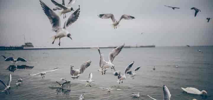 AI制作职场逆袭短剧：从"小透明"到"不可替代"的逆袭之路