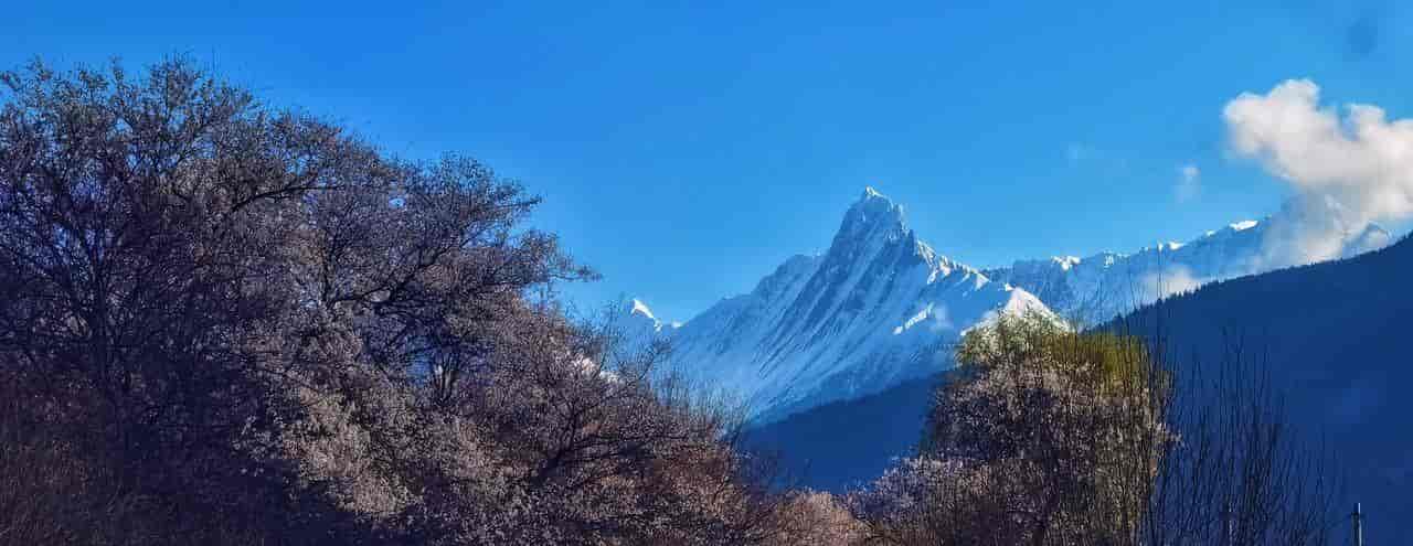 2026春季最火旅行方式：Color Walk色彩漫步攻略（附6条宝藏路线）