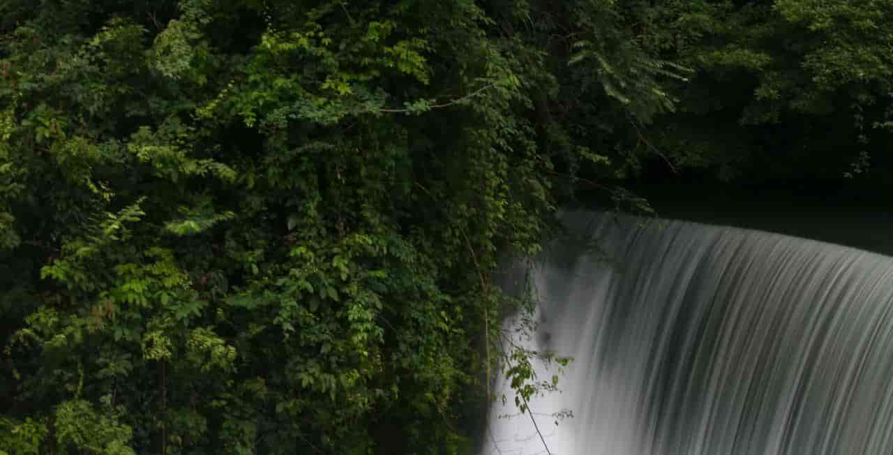 2026春季最火旅行方式：Color Walk色彩漫步攻略（附6条宝藏路线）
