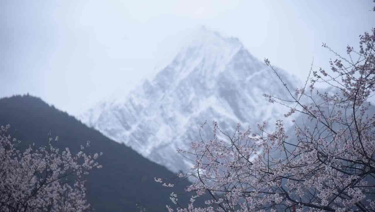 2026春季最火旅行方式：Color Walk色彩漫步攻略（附6条宝藏路线）