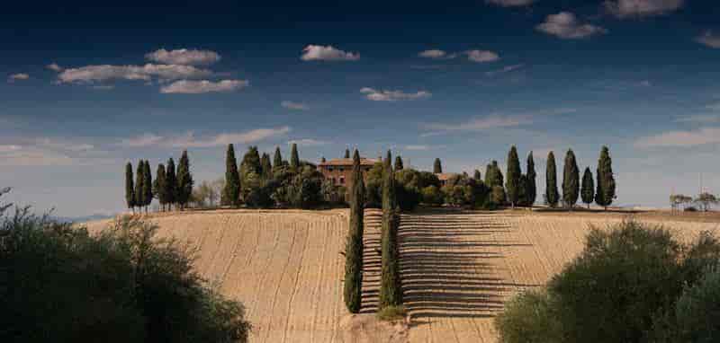 ElevenLabs vs AnyVoice vs Murf：2026年AI配音工具终极横评测评