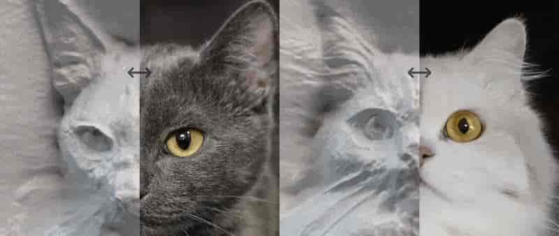 主流 AI 生成 3D 技术流派辨析：Text-to-3D, Image-to-3D 与 NeRF 应用概览