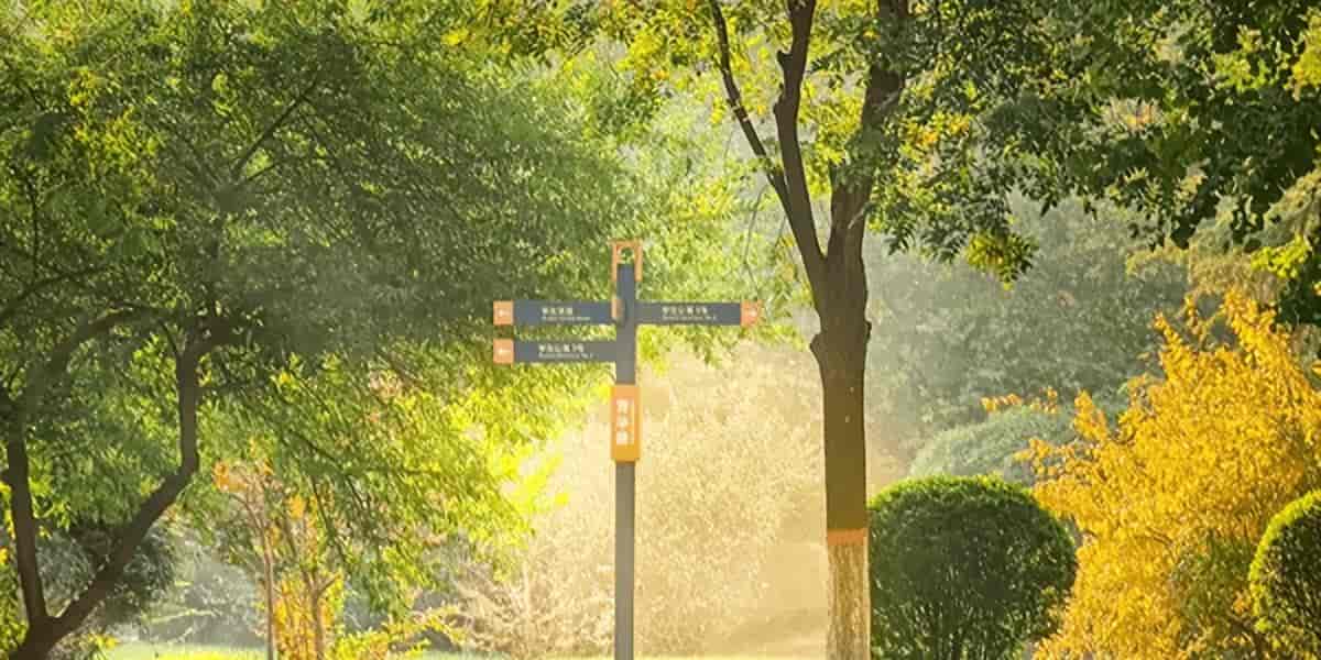 探索 Midjourney Describe API：轻松获取图像描述