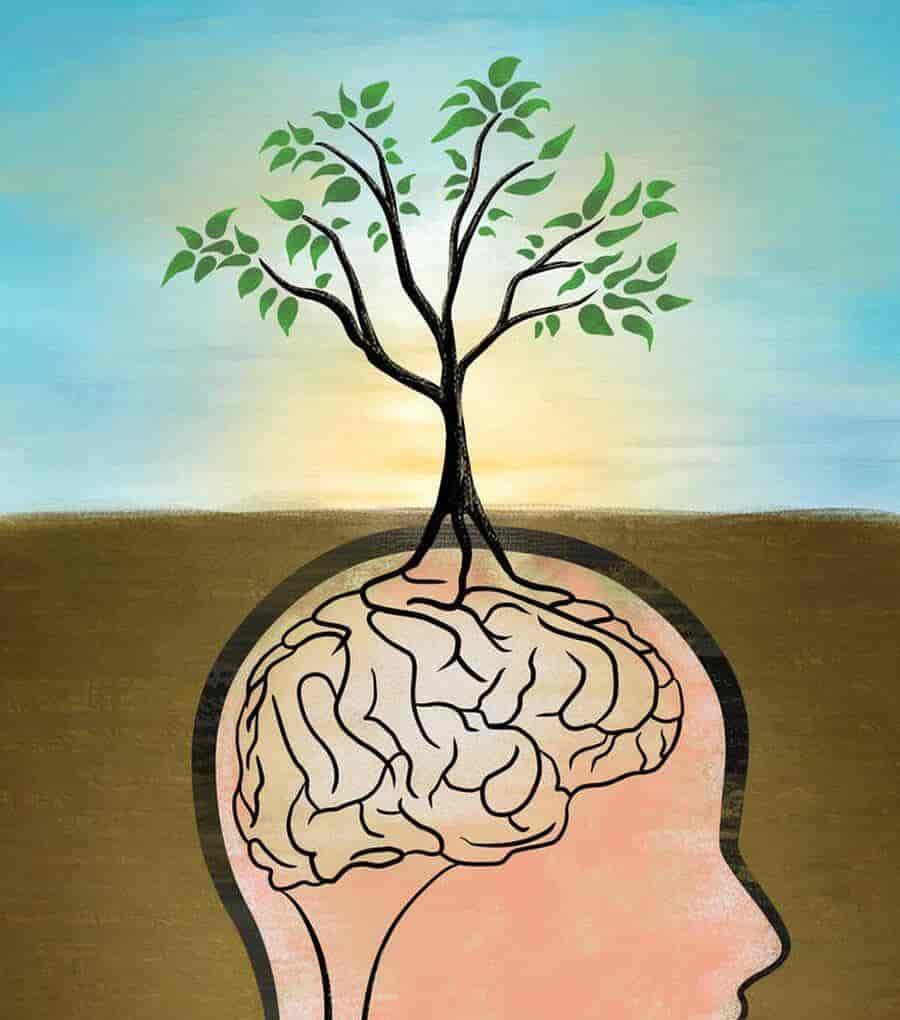 心理学中有个词叫：认知扭曲（一旦醒悟，焦虑就消失了）