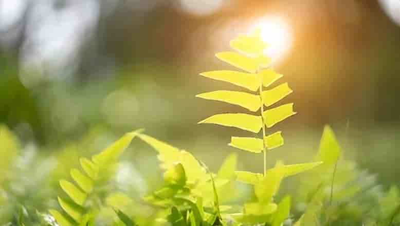 30篇经典英语阅读美文，超级适合晨读！