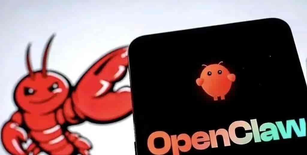 雷点 | 潘多拉的“虾”