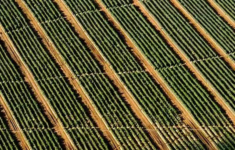 多模态AI：文本、图像与音频的融合