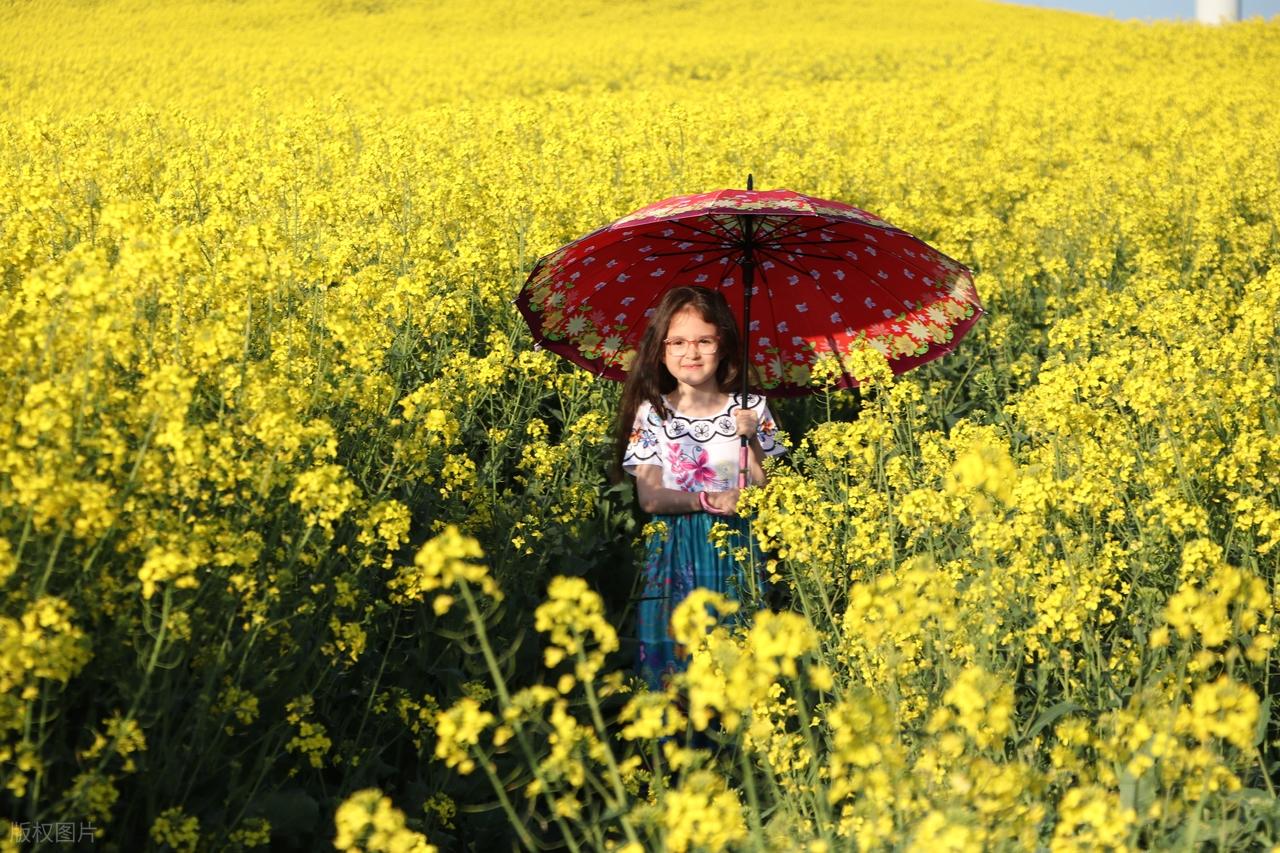 中学英语必看！mind用法全拆解，书面表达拿分就靠它