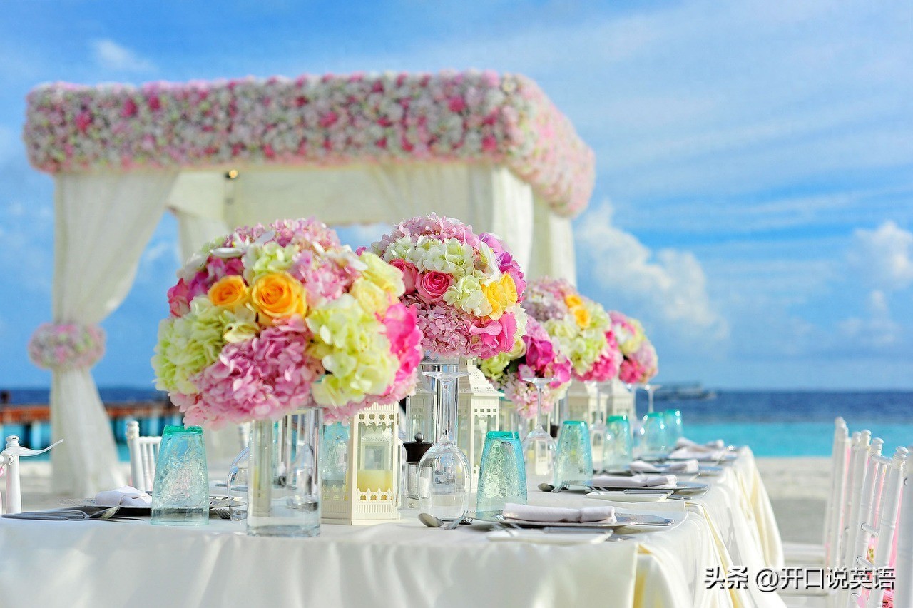 How, What, Which 后的语序问题：一文彻底搞懂！