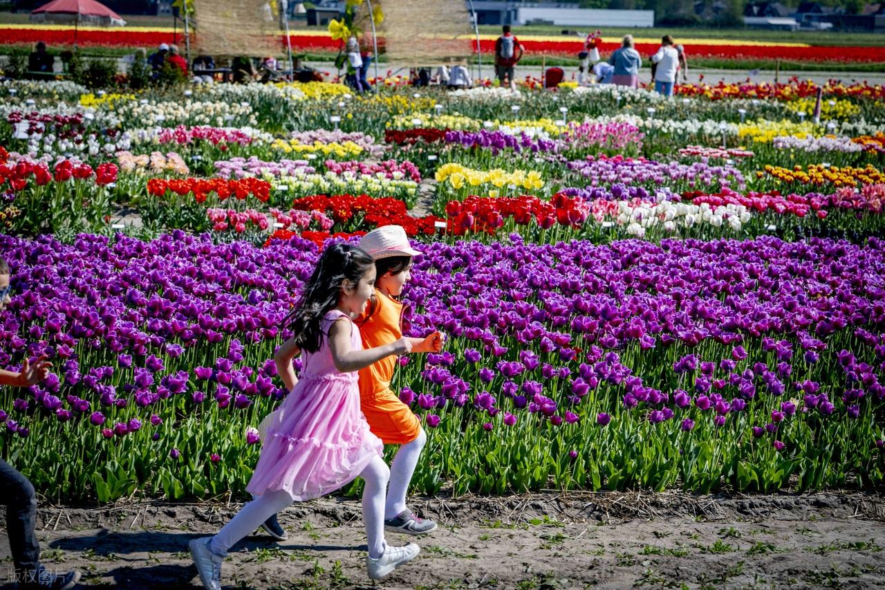 中学英语必看！mind用法全拆解，书面表达拿分就靠它