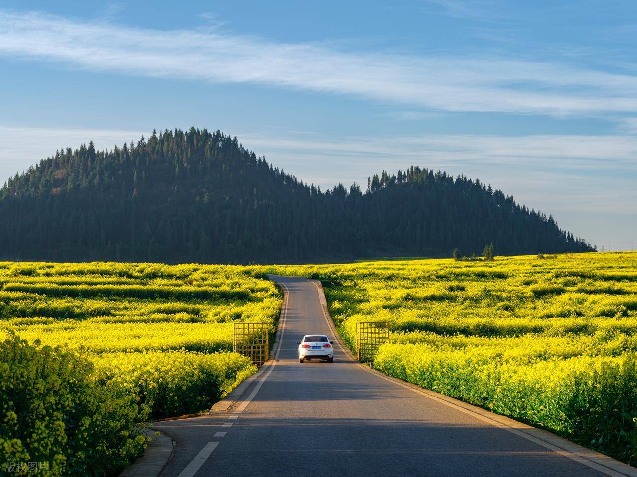 中学英语必看！mind用法全拆解，书面表达拿分就靠它