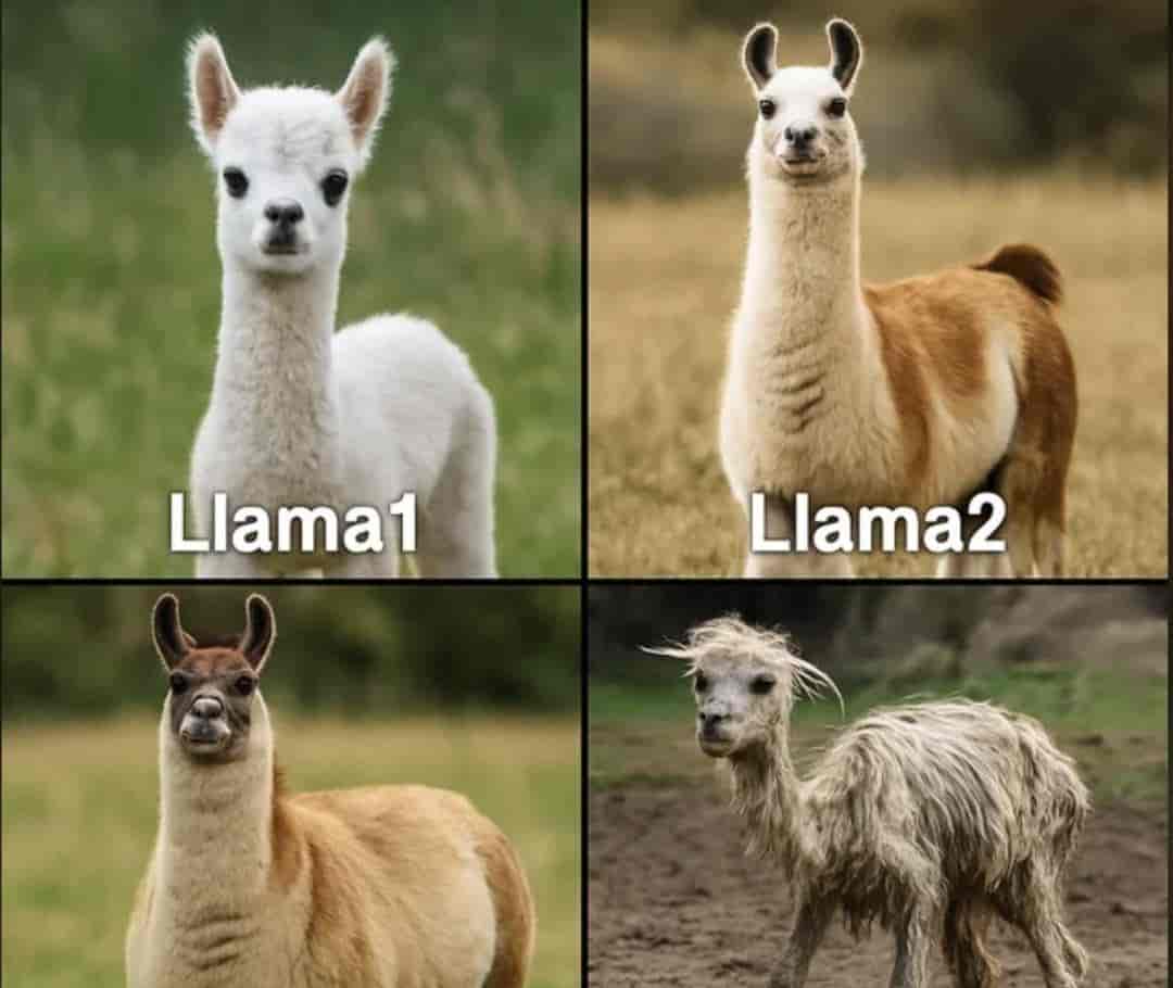 Llama 4万亿巨兽延期，80%核心元老集体辞职？