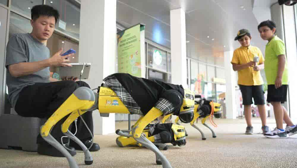 Chinese AI robot dogs bring smart tourism experience to Singapore