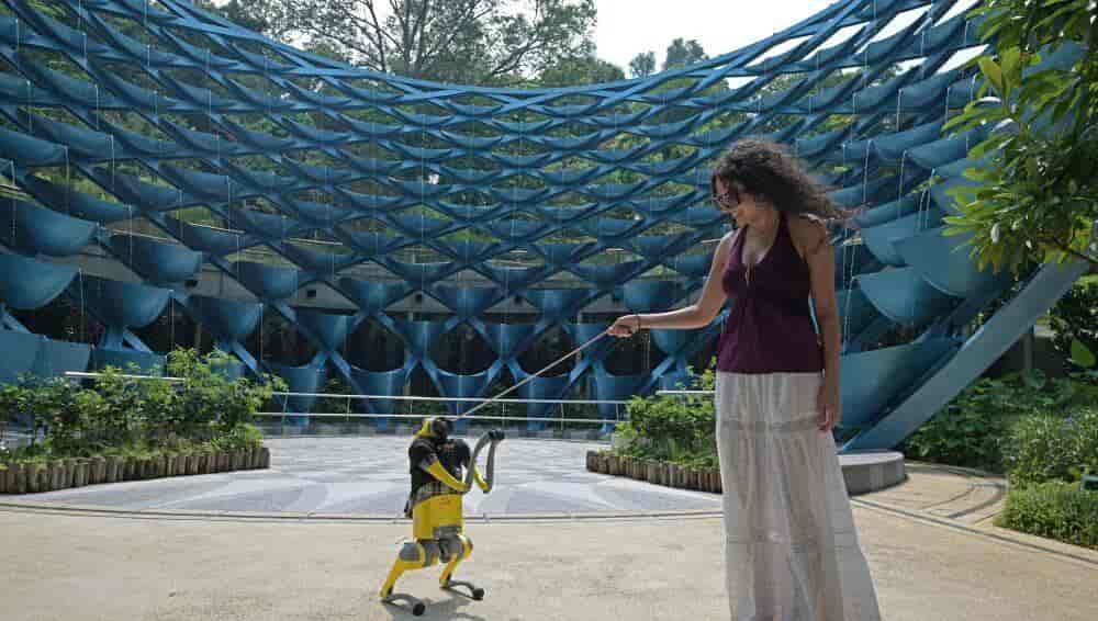Chinese AI robot dogs bring smart tourism experience to Singapore