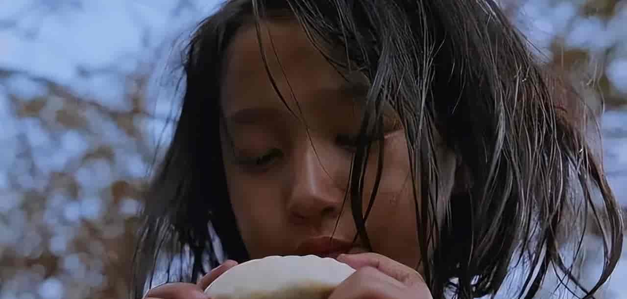 胡泳 年欣丨自由与驯化：流量、算法与资本控制下的短视频创作-上