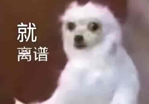 小扎一夜反水,背刺开源!亲手葬送「Llama神话」,股价大涨12%