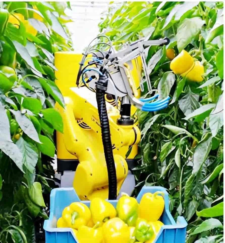 主要农业国家在“AI+ 农业”领域的探索与实践