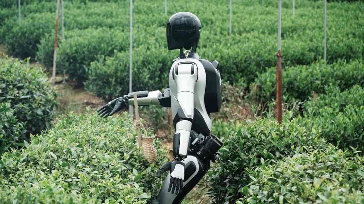 百度AI收入过半、Kimi融资20亿:AI已经不是别人的事了,是你的事