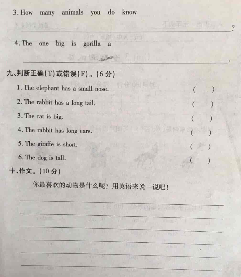 三年级英语下册第三单元测试,以动物的学习为主,动物单词不好记