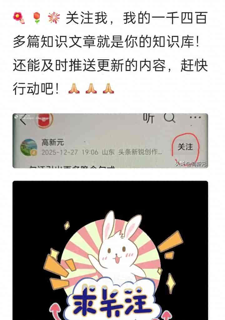 动物英语单词集锦