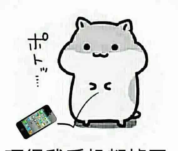 亚马逊卖家:刷单是条不归路