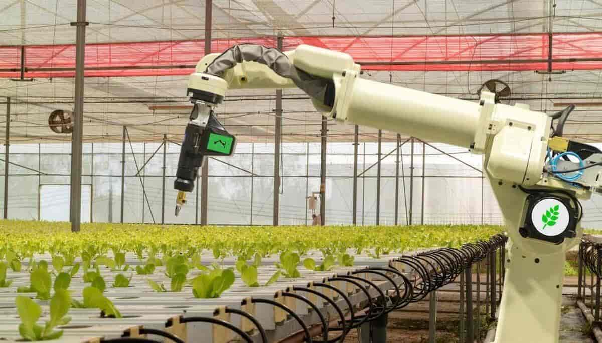 主要农业国家在“AI+ 农业”领域的探索与实践