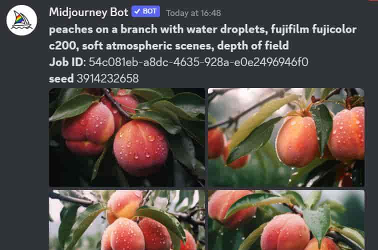 [科普向]Midjourney中的Seed种子到底是什么？